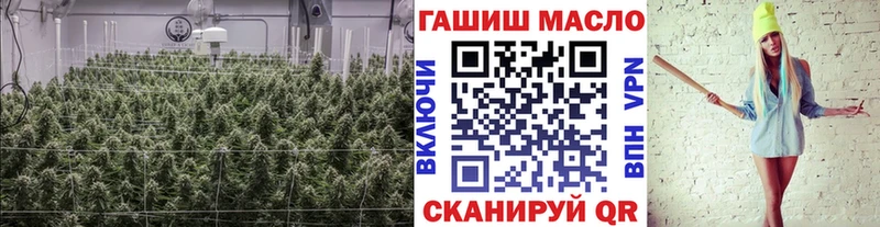 ТГК концентрат  Макаров 