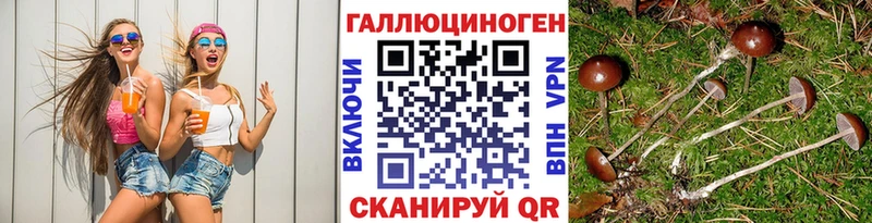 Галлюциногенные грибы Magic Shrooms  кракен рабочий сайт  Макаров  где можно купить наркотик 